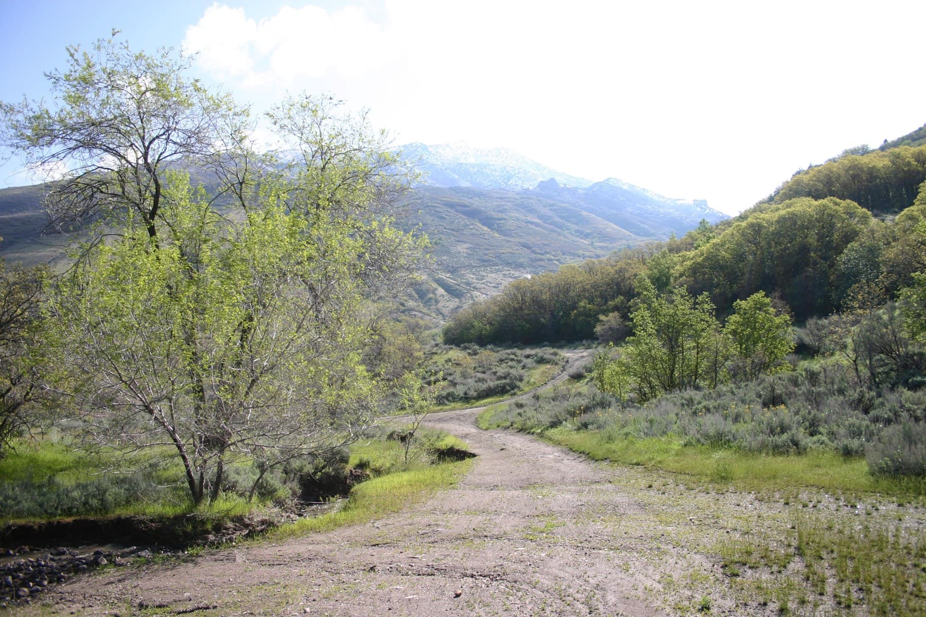 Corner Canyon foothills above Draper, Utah